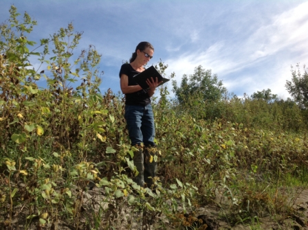 Woman collecting field measurements